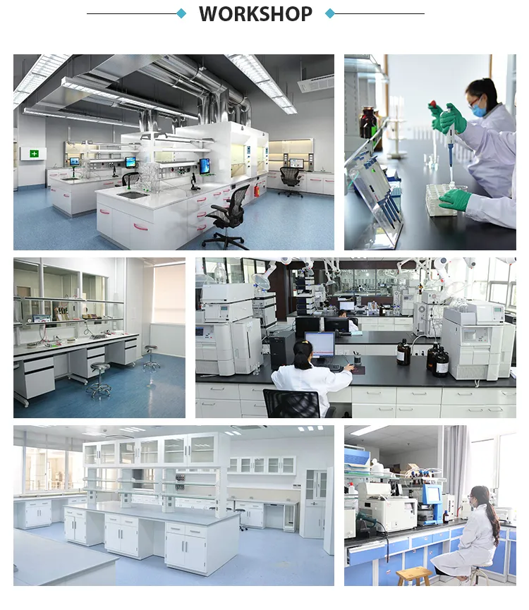 Thread V-Lifting Cog 3D 4D 6D Blunt Micro Cannula Pdo Thread