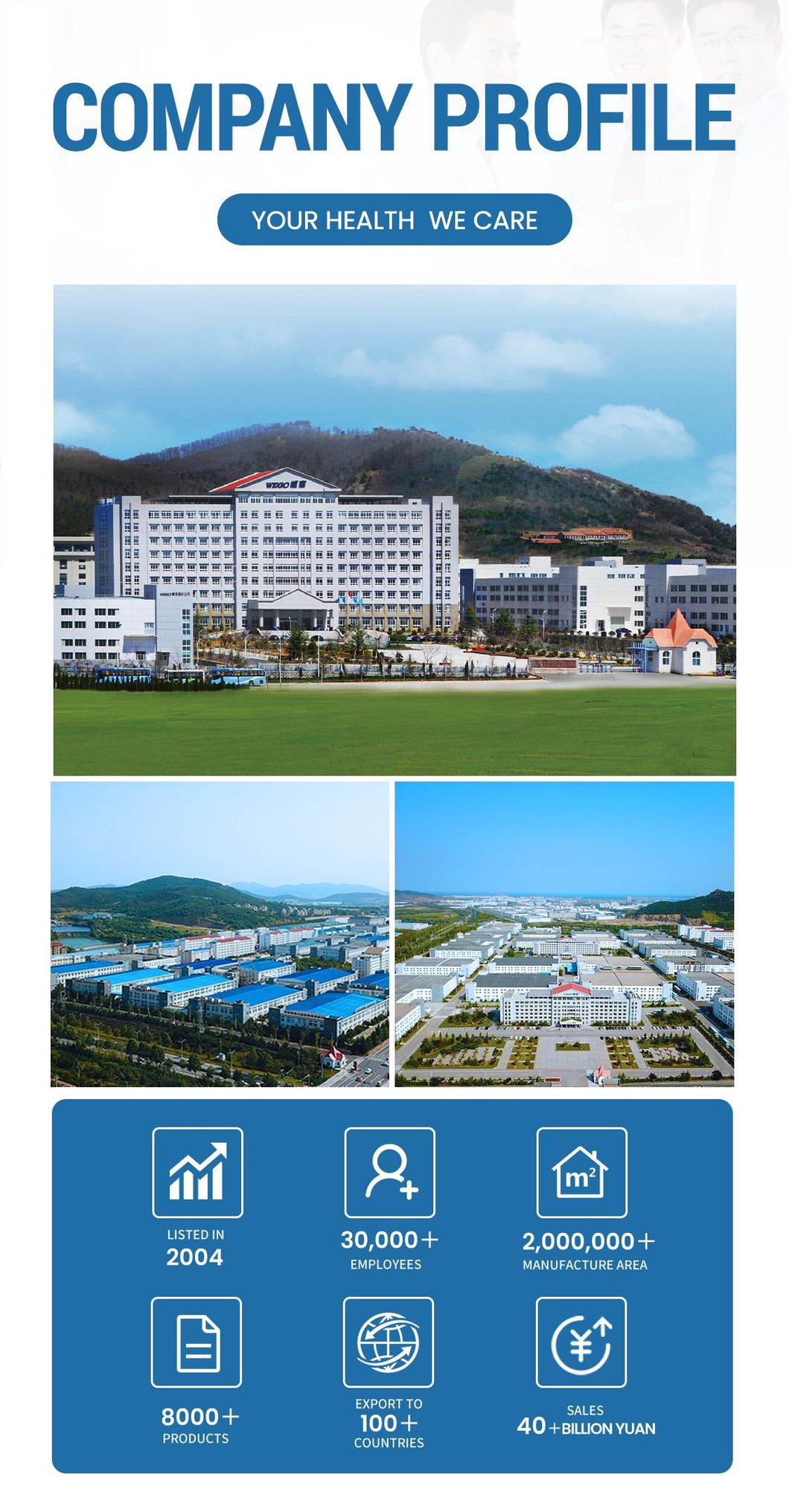 Wego CE Approved Sterile Disposable 1cc Syringe with Needle Manufacturer Hypodermic Syringes