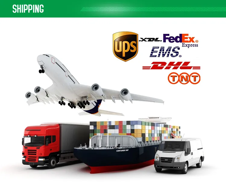 Whole Price Des Stent Coronary Stent Sirolimus-Eluting Coronary Stent System