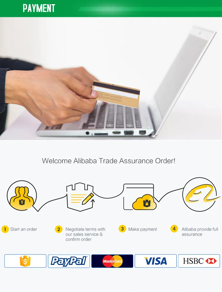 Whole Price Des Stent Coronary Stent Sirolimus-Eluting Coronary Stent System