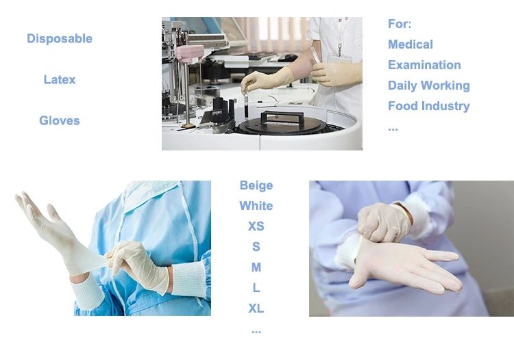 Wholesale High Quality White Latex Powder Free Laboratory Medical Disposable Gloves